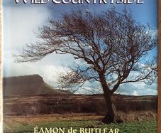Ireland's Wild Countryside