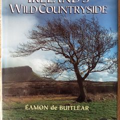 Ireland's Wild Countryside