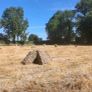 Small Square Bales Image 4