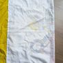 Vatican Papal Flag Image 2