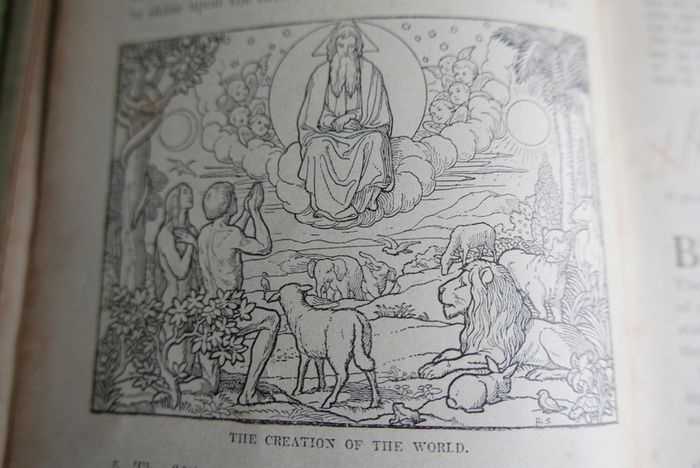 The Illustrated Bible History (Rev. I. Schuster - 1925)