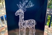 Lit Wire Christmas Reindeer