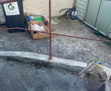Free Cardboard includes a free basket