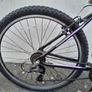 Ladies Bicycle Image 3