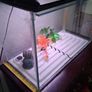 Fish Tank and Cabinet Image 5