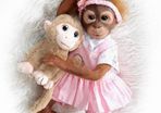 21 ''/ 52 cm Lifelike Reborn Baby Monkey Realistic Handmade Reborn Dolls Newborn Baby Doll Weighted body Collectible Art Doll Toy for kids Gifts (FREE POSTAGE)