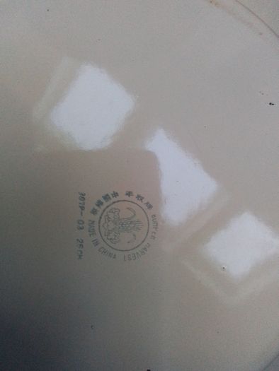 White Enamel Dinner Plate