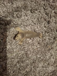 Schleich Wild Life Seal 14801