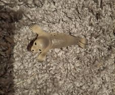 Schleich Wild Life Seal 14801