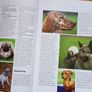 Dogs - Friends for Life Image 5
