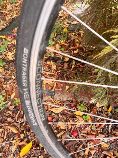 trek bicycle