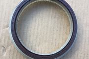 Rear Crank Oil Seal (Fiat Ducato 230)