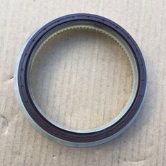 Rear Crank Oil Seal (Fiat Ducato 230)