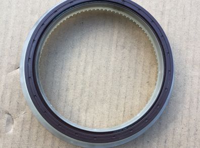 Rear Crank Oil Seal (Fiat Ducato 230)