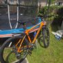 Carrera Mountain bike Image 4