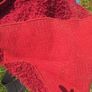 red rug Image 3