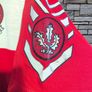 1993 Derry Gaa Jersey Size Large Image 6