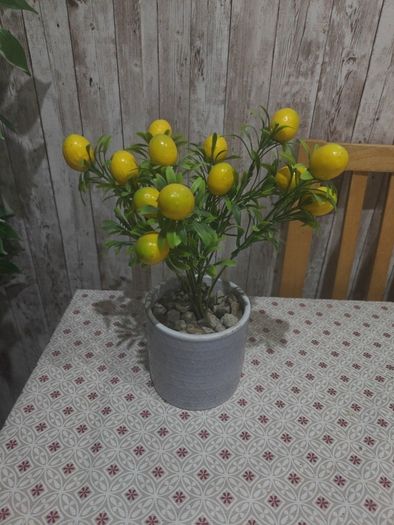 lemon plant
