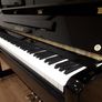 New Hailun H-5P | Award Winning Premium Piano Image 5
