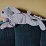 Rabbit / Bunny Soft Toy Image 5