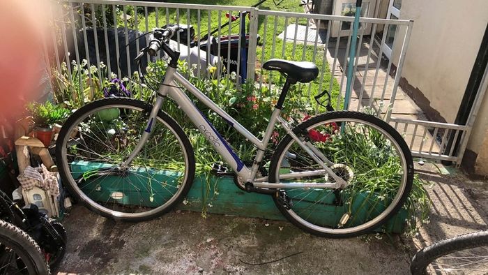 womans bike