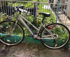 womans bike