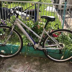 womans bike