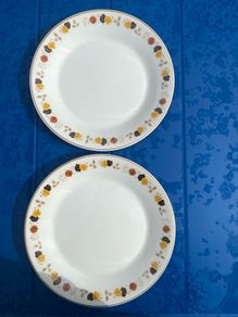 Pair of Arklow pottery plates Brownlea pattern