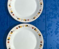 Pair of Arklow pottery plates Brownlea pattern