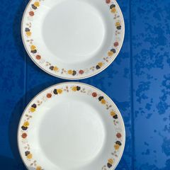 Pair of Arklow pottery plates Brownlea pattern