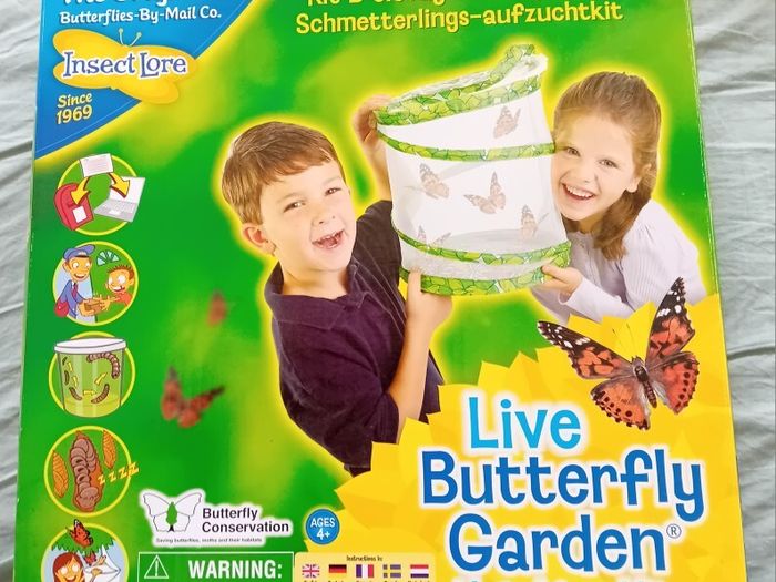 Butterfly Hatching Net Bag