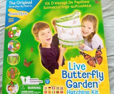 Butterfly Hatching Net Bag