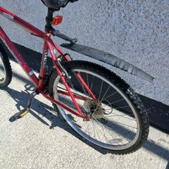 Adults Bike
