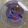 Official Disney Store Princess Figurine Set - Complete 5 Piece Image 7