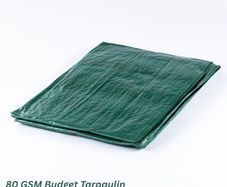 Budget Tarpaulin 7m x 11m (23' - 36') 80 gsm green