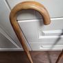 Walking sticks Image 2