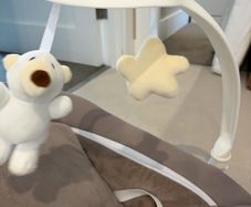 Hauck newborn seat