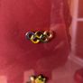 Framed International Olympic Pins (14) Image 5
