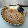 Large Scallop Shell Ceramic Plate Image 3