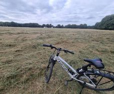 Carrera Hybrid / Mountain Bike