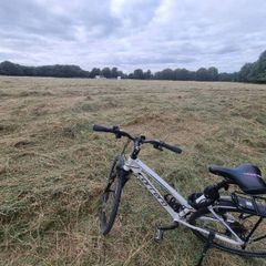 Carrera Hybrid / Mountain Bike