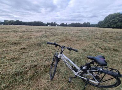 Carrera Hybrid / Mountain Bike