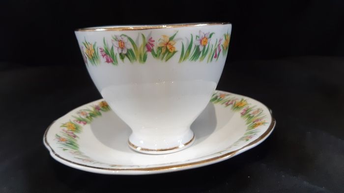 Regina/Royal Tara Tea Set 21 piece teaset