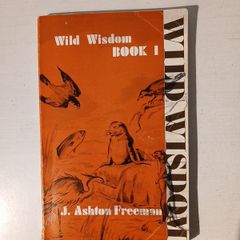 Wild Wisdom Book 1 by J. Ashton Freeman