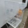 bird cage Image 2