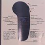electric skateboard Image 7