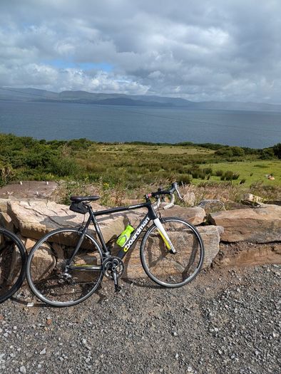 Boardman Carbon Bike