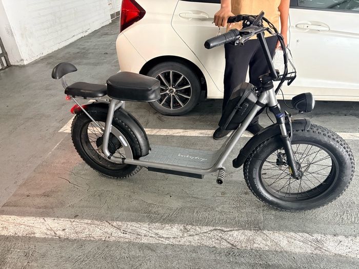 Electric Bike AS201