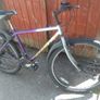 bike for sale Image 3