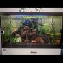 fish tank Image 3
